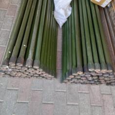 3403-2946036 Торсион усиленный (34мм)